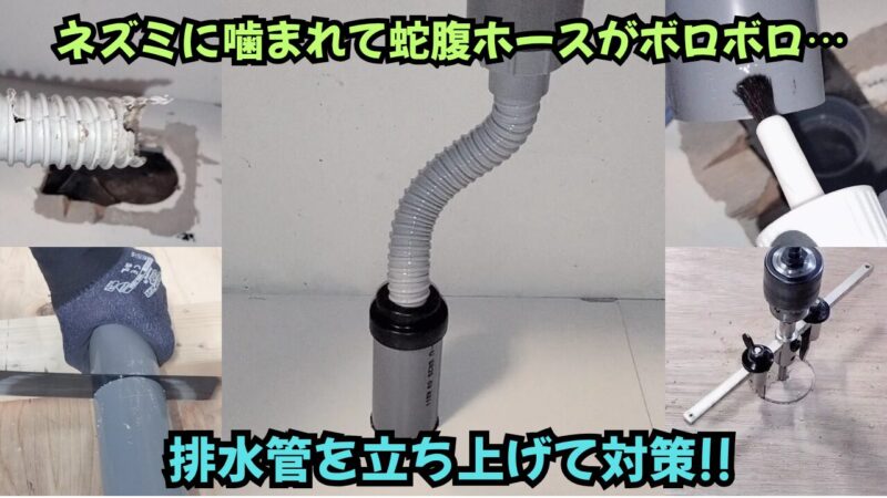 【DIY】ネズミにかじられた蛇腹ホースを交換！排水管を延長して対策♪【キッチン排水管の立ち上げ】