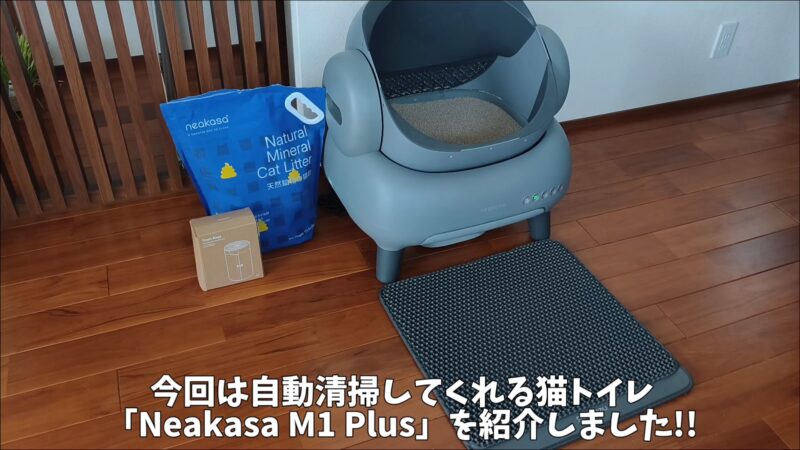 「Neakasa M1 Plus」の購入レビュー！オープン型全自動猫トイレでとってもおすすめ♪