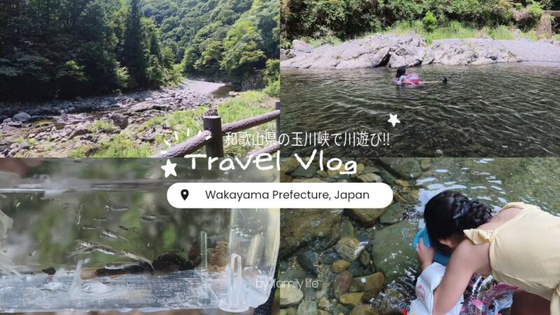 【玉川峡で川遊び】子連れ体験記！娘とカニ・小魚獲りに夢中になった和歌山のおすすめスポット